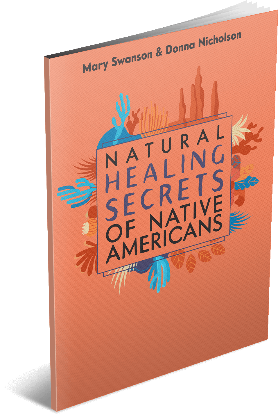 Natural Healing Secrets of Native Americans book